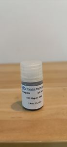 Perles magnétiques fonctionnelles NHS à couplage covalent rapide, dispersion stable, faible liaison non spécifique pour la recherche en laboratoire - Product Image 2