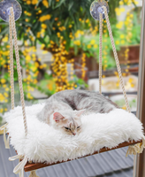 Perchoir de fenêtre en bois massif pour chat avec ventouses puissantes conception de lit hamac capacité de charge gain de place pour lit monté sur fenêtre