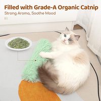 Oreillers interactifs en menthe pour chat Accessoires pour chat Jouets en herbe à chat doux et durables pour chats d'intérieur