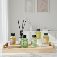 Diffuseur de parfum d'ambiance 100 ml en verre décoratif de luxe, sans phtalates, sans alcool, pour la maison, vente en gros, DIY, longue durée
