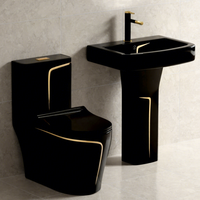 Conjunto de Baño Moderno en Negro y Dorado, Inodoro de Una Pieza con Pedestal y Lavabo, para Instalación en el Suelo