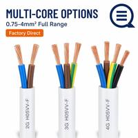 Proveedor Mayorista de Cables H05VV-F, Cable Eléctrico Personalizado OEM/ODM, Cable de Cobre Multifilar para Cableado Interno General