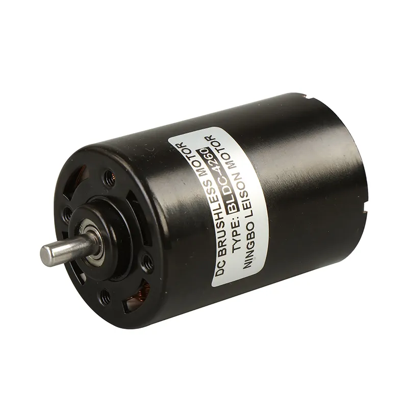 Micro BLDC Motor RC Type 15W can be Customized with Dual Shaft
