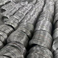 2mm 5mm 4mm 8mm 6mm 7x19 100m/rulo Kalın Paslanmaz Çelik Halat 254Smo Sınıfı Bükme Kaynak Kesme ASTM HL Yüzey