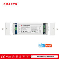 Driver LED Wifi 100w Tahan Air IP67 Dapat Diredupkan Nirkabel Menggunakan Modul TUYA