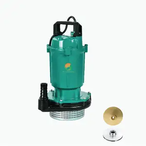 Pompa sommergibile per acqua di pozzo agricolo pompa sommergibile QDX per irrigazione di grande cilindrata