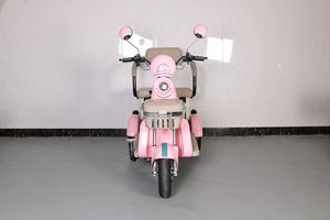 600W 48V Open Top 3 Wheel Adult Electric <strong>Tricycle</strong> Custom <strong>Compact</strong> Durable With EEC Certification Low Cost for Daily Commute - Product Image 2