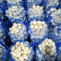 Pure White Garlic, ImportFresh, Chinese, 3 P