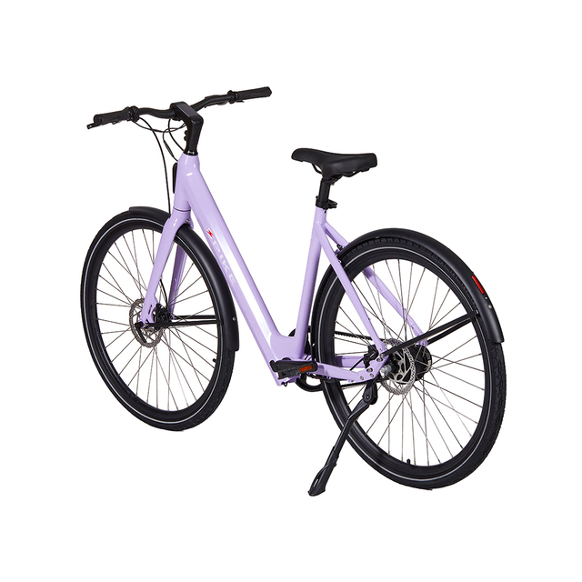 Hot Selling New Trend Lady Ebike 250w 36V 10Ah Integrated Battery Electric Bicycle Electric Bike