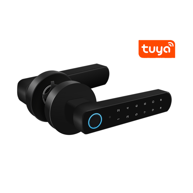 Tuya App Intelligent Fingerprint Door Lock Unlocks with Password and Keys Deadbolt Locking Mechanism