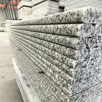 Escaliers en granit blanc du Shandong, poli, durable, écologique, coupé sur mesure, pour projets de construction, pierre naturelle