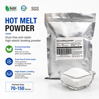 Poudre thermofusible DTF en gros 1KG 5KG 20KG, poudre blanche DTF pour machine de pressage à chaud et agitateur