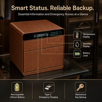 Coffre-fort biométrique à empreintes digitales pour bijoux, montres, argent liquide avec batterie rechargeable et chargement USB-C