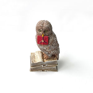 Statue d'animaux magiques en résine, Figurines de hibou à collectionner, accessoire de décoration pour la maison, personnalisé, 21 cm - Product Image 1