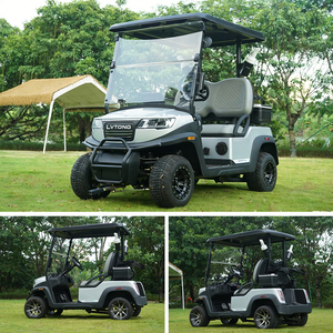 Voiturette de golf électrique Lvtong 48V 2 places, <span class=keywords><strong>buggy</strong></span> de luxe avec port USB pour adultes, transport en station balnéaire - Product Image 3