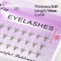 Cils en éventail pré-faits 6D faits à la main, 3 rangées par boîte, épaisseur 0,07 mm, courbure C, longueur 8-13 mm, matière PBT soyeuse, cils individuels
