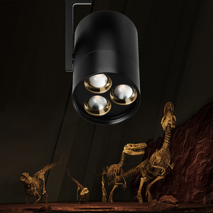 Projecteur LED sur rail 3-en-1 à haute luminosité pour éclairage <span class=keywords><strong>de</strong></span> plafond élevé, idéal pour vitrines <span class=keywords><strong>de</strong></span> musées et présentoirs - Product Image 2