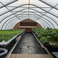 Serre Agricole Sinok Complète avec Système d'Irrigation, Tunnel Haut pour Légumes, Film PE, pour Tomates