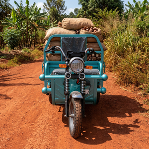 Tricycle électrique <span class=keywords><strong>de</strong></span> fret à usage standard personnalisé, directement <span class=keywords><strong>de</strong></span> l'usine, 1200W PMSM, véhicule à 3 roues pour le <span class=keywords><strong>transport</strong></span> logistique urbain - Product Image 2