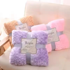 All'ingrosso della fabbrica in pile <span class=keywords><strong>di</strong></span> colore solido personalizzato gettare <span class=keywords><strong>coperta</strong></span> liscia mano <span class=keywords><strong>coperta</strong></span> <span class=keywords><strong>di</strong></span> peluche per l'inverno - Product Image 3