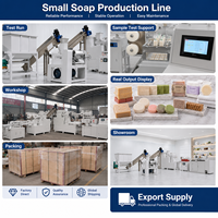 Ligne de production de savon à petite échelle haute vitesse 1000 kg/h pour le traitement du savon de lessive avec support de logo personnalisable