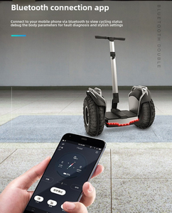 Original Factory Two Wheels <b>Scooter</b> Shipping in USA Warehouse with APP Adult Patrol Balance Car - Product Image 6