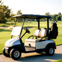 Hotel-Shuttle Elektro-Golfwagen für 2 Personen Besichtigungsfahrzeug mit Rücksitz-Kit für Resorts und Parks