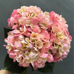 Flores de Hortensia Artificiales al por Mayor Y-H093, Flores Falsas para Boda con Tacto Real, Flores de Hortensia con Tacto Real - Product Image 1