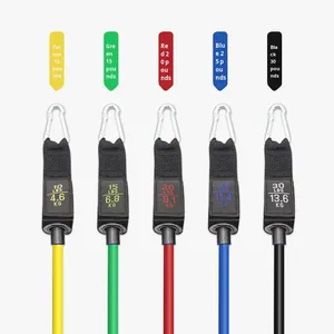 Ensemble de bandes de résistance multifonctionnelles en TPE, 11 pièces, pour entraînement de force, haute élasticité, durable, entraînement complet du corps, corde de traction - Product Image 5