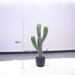 Plante artificielle en plastique imitation cactus, plante décorative pour la décoration extérieure et <span class=keywords><strong>de</strong></span> bureau, fausses plantes, décoration intérieure, plantes artificielles - Product Image 3