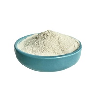 CiYuan Factory Supply Extrait de Garcinia Cambogia en poudre Acide hydroxycitrique (HCA) 40% 50% 60%