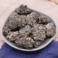 Champignons Sparassis Crispa séchés naturels, sans soufre, matière première comestible pour soupes, hotpot et restauration