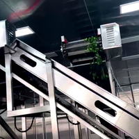 Machine de congélation en tunnel automatique IQF industrielle continue pour perles de tapioca, boules de riz glutineux Tangyuan