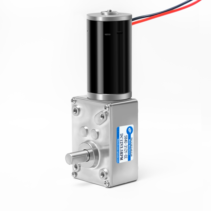 Double Shaft 33MM Length 5840-31zy DC 12V 24V Worm Gear electronic