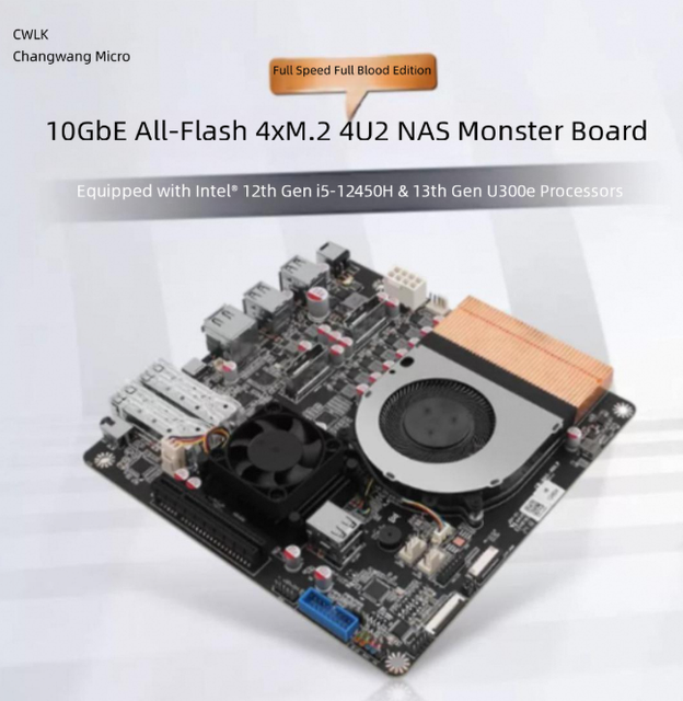 Changwang 12th Gen Dual 10GbE NAS 'Monster' Board U300E Industrial Motherboard with Onboard I5-12450H and 82599 NIC