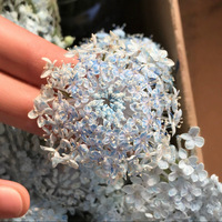 Bunga padat menyerap warna pola bunga kecil DIY bahan seni bunga bahan seni kuku dekorasi Resin
