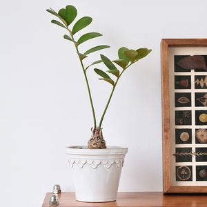 Vasi in Ceramica Smaltata Colorata Decorativi per Balcone, Moderni ed Ecologici, per Interni ed Esterni, Ideali per <span class=keywords><strong>Cactus</strong></span> e Giardino Domestico - Vendita all'Ingrosso - Product Image 4