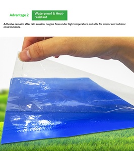 Trampas Adhesivas Azules Profesionales Especiales para el Control de Trips, Herramientas de Manejo Integrado de Plagas (MIP) para Invernaderos, No Tóxicas - Product Image 2