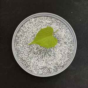 Granulés d'acrylique PMMA (Polyméthacrylate de méthyle) de qualité résistance aux UV, grade moulage VHS-001, résine PMMA, couleur personnalisée pour usage médical - Product Image 2