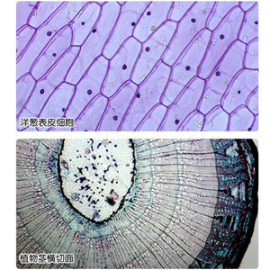 5 - Product Image 5