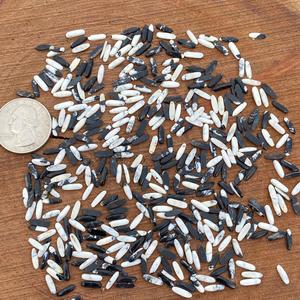 Cabujón Ovalado de Búfalo Blanco de 8x2 mm, Gema Suelta del Suroeste, Perfectamente Calibrado - Product Image 1