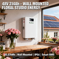 Baterai Lithium Ion 15kWh 48V 314Ah untuk Sistem Penyimpanan Energi, Terpasang di Dinding dengan Roda
