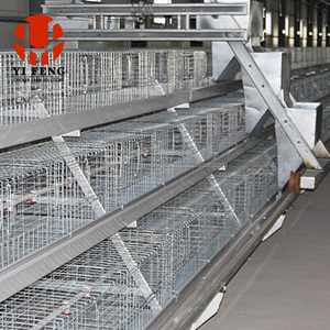 Sistema <span class=keywords><strong>de</strong></span> Jaulas para Pollos Galvanizadas, Duraderas y a Bajo Costo para Granjas Comerciales en África, <span class=keywords><strong>Precio</strong></span> al por Mayor - Product Image 5