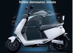 Vélo à 2 roues 2026 en gros d'usine, idéal pour la circulation urbaine et les trajets de bureau (trottinette) - Product Image 5