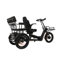 Tricycle électrique à 3 roues de 2500W, grande puissance, pneus larges de 20*4 pouces, avec panier arrière, vélo cargo électrique pour adultes, à vendre
