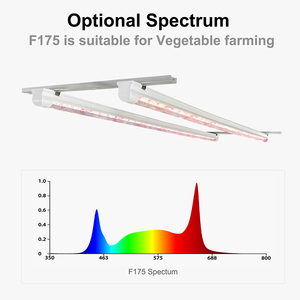PT8/PT5 Tube Lumière 10W 18W 32W 36W 40W Commercial Hydroponique légumes <span class=keywords><strong>Fraise</strong></span> élèvent des lumières Agriculture verticale - Product Image 2