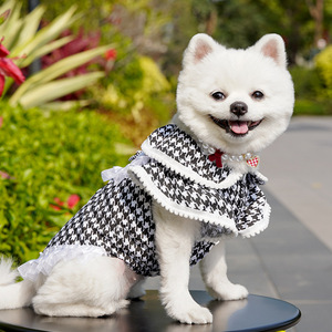 Ropa de Verano para Mascotas de Nuevo Lanzamiento, Camisa de Lujo de Diseñador para Perro Golden Retriever Grande, Tallas XS a 8XL, Vestidos para Gato y Ropa para Mascotas al por Mayor - Product Image 6