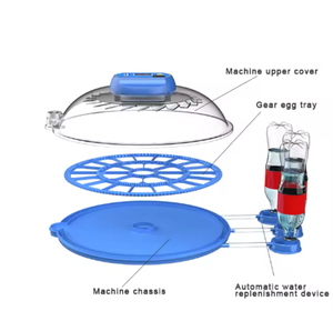 Incubadora de Huevos Multicategoría Apta para Pollos, Patos, Gansos, Codornices y Loros - Product Image 4