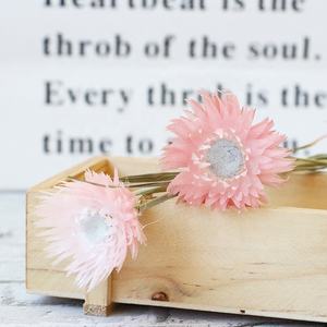 Yunnan fabrika kurutulmuş çiçekler kar lotus çiçekler beyaz açık pembe kar lotus gümüş kurutulmuş papatya çiçek - Product Image 4