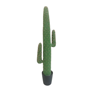<span class=keywords><strong>Cactus</strong></span> Artificial Planta en Maceta Realista Suculenta para Bajo Mantenimiento Mini Desierto Estilo Paisaje Decoración Jardinería Proveedor - Product Image 4